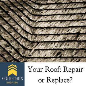 Repair or Replace Roof?