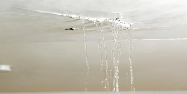 ceiling leak repair near me