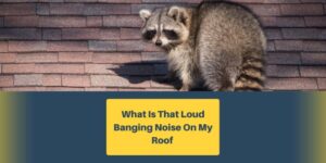 What is That Loud Banging Noise on My Roof