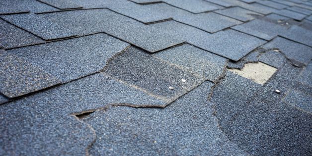 visible signs of roof damage