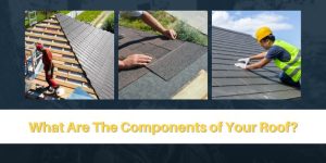 What Are the Components of Your Roof